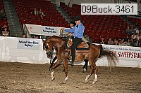 09buck-3461 proof
