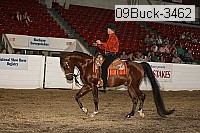 09buck-3462 proof