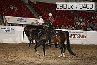 09buck-3463 proof