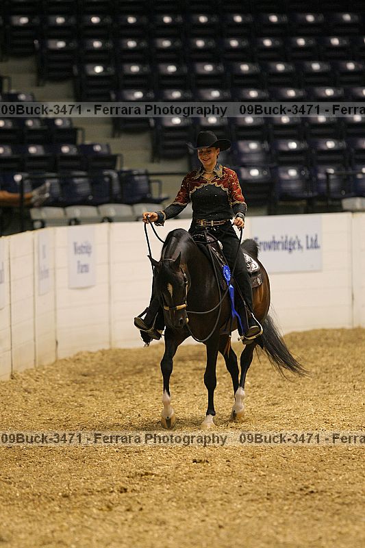 Proof 09buck-3471