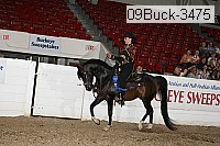 09buck-3475 proof