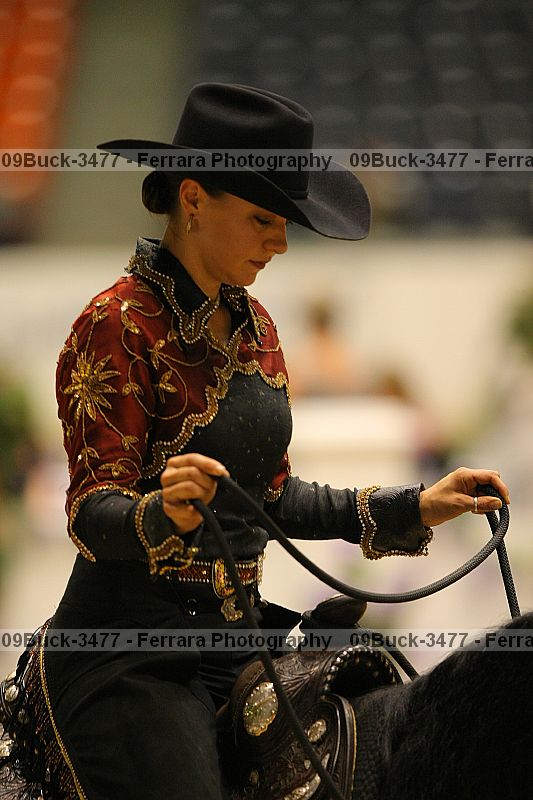 Proof 09buck-3477
