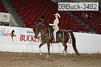 09buck-3482 proof