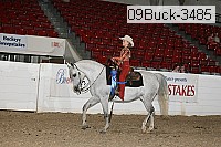 09buck-3485 proof
