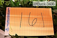 09buck-3486 proof
