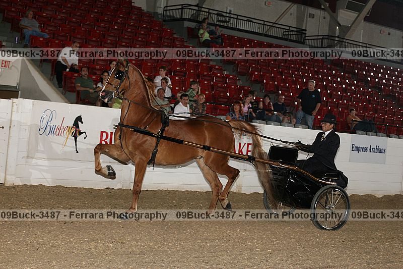 Proof 09buck-3487