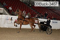 09buck-3487 proof