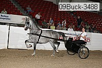 09buck-3488 proof