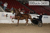 09buck-3490 proof