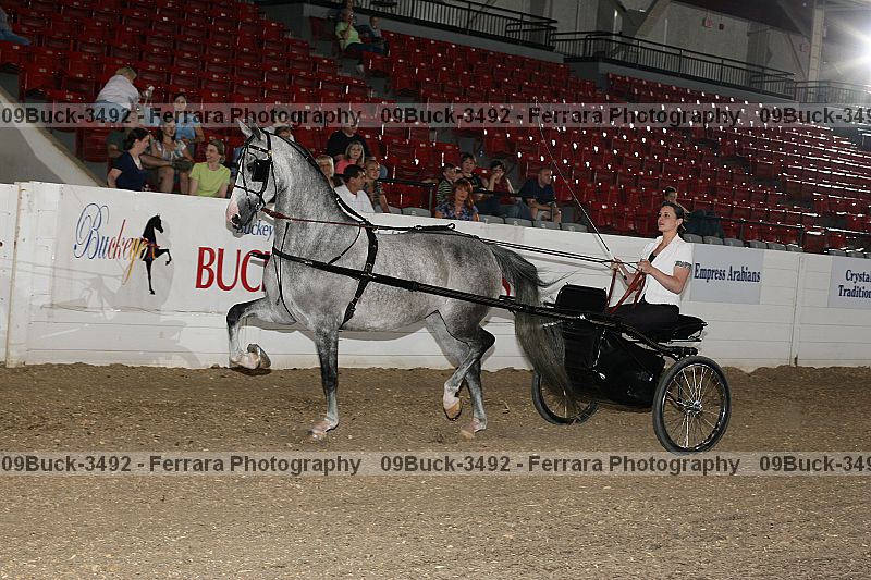 Proof 09buck-3492
