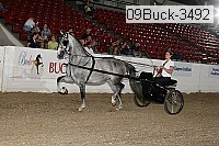 09buck-3492 proof