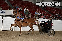 09buck-3493 proof