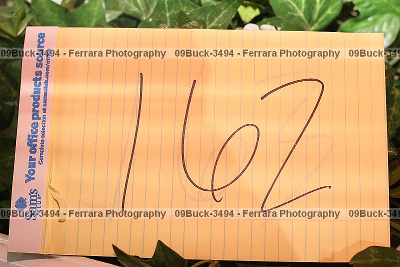 Proof 09buck-3494