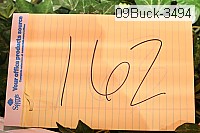 09buck-3494 proof