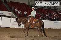 09buck-3495 proof
