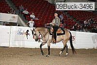 09buck-3496 proof