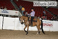 09buck-3498 proof