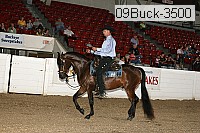 09buck-3500 proof