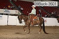 09buck-3501 proof