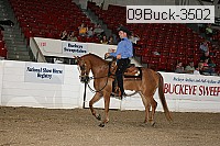 09buck-3502 proof