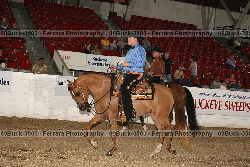 Proof 09buck-3503