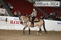 09buck-3504 proof