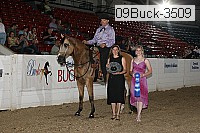 09buck-3509 proof