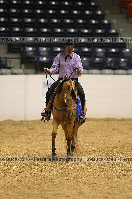 Proof 09buck-3510
