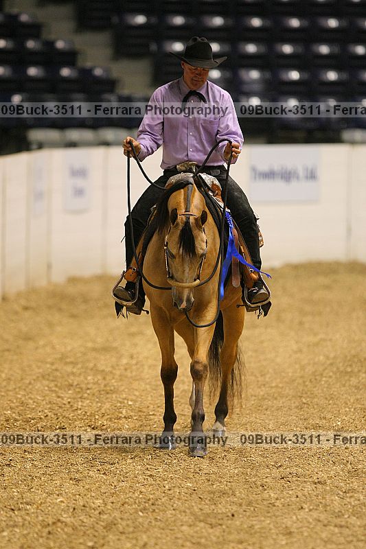 Proof 09buck-3511