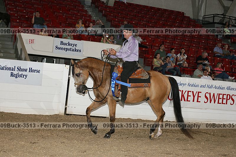 Proof 09buck-3513