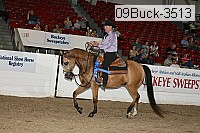 09buck-3513 proof