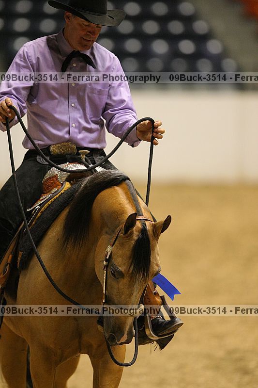 Proof 09buck-3514