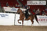 09buck-3531 proof
