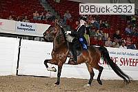 09buck-3532 proof
