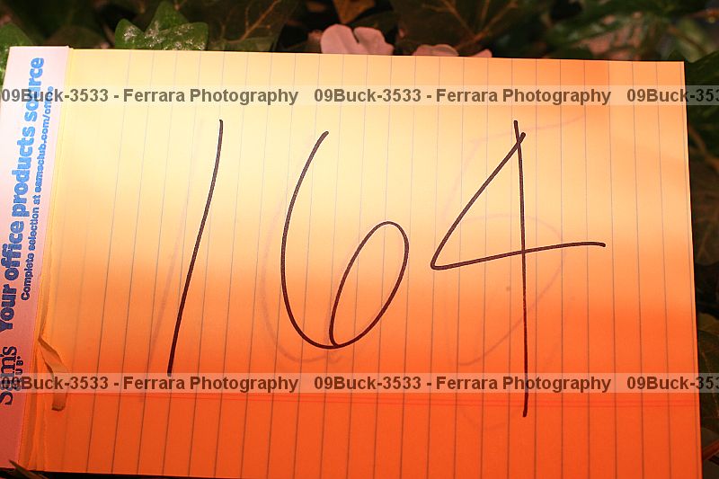 Proof 09buck-3533