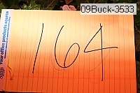 09buck-3533 proof