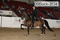 09buck-3534 proof