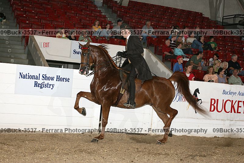 Proof 09buck-3537