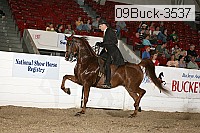 09buck-3537 proof