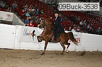 09buck-3538 proof