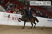 09buck-3539 proof