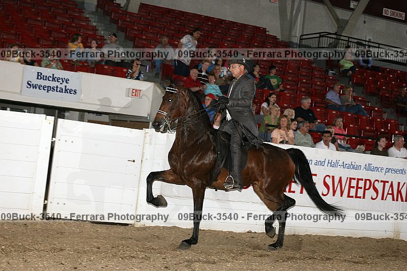 Proof 09buck-3540