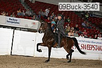 09buck-3540 proof