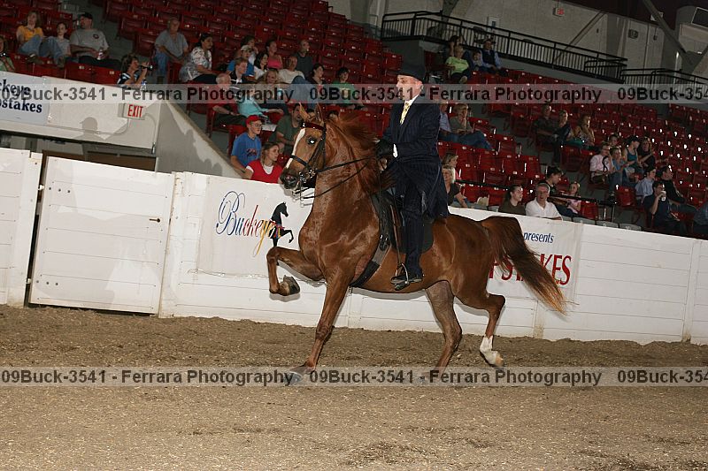 Proof 09buck-3541