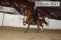 09buck-3541 proof