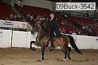 09buck-3542 proof