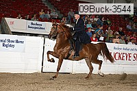 09buck-3544 proof