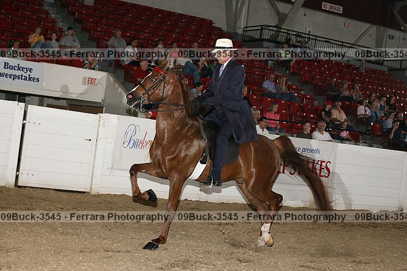 Proof 09buck-3545