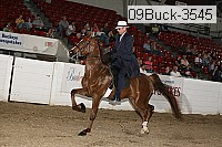 09buck-3545 proof