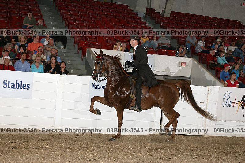 Proof 09buck-3546